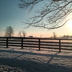 Meet your Posher, Janet